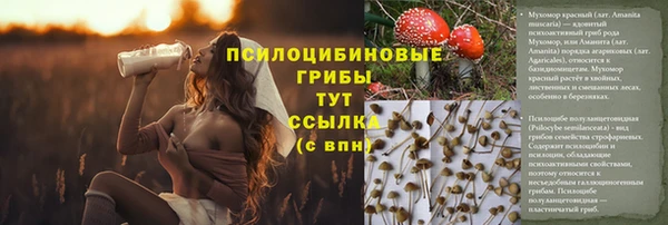 мдма Рославль