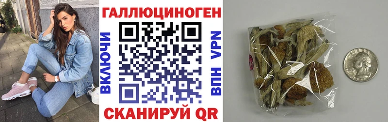 Псилоцибиновые грибы Cubensis  купить наркоту  Скопин 