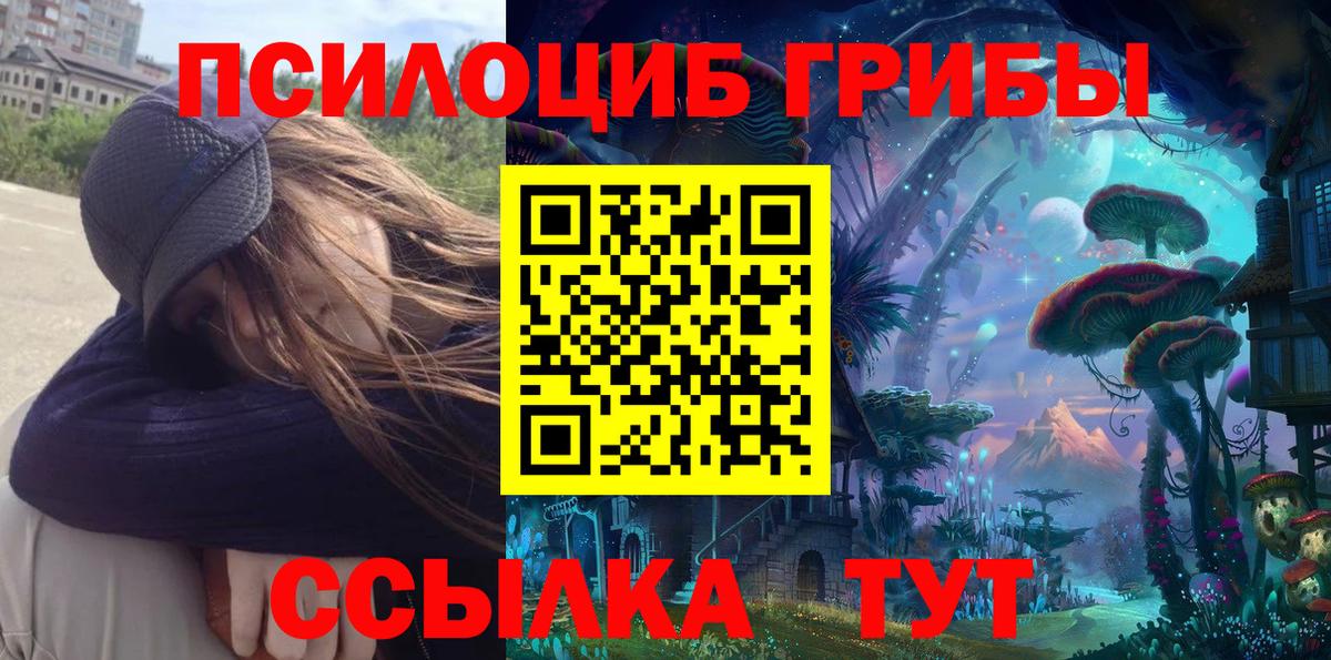 купить   Вход с VPN  Скопин  Галлюциногенные грибы Cubensis 